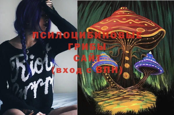 спайс Приозерск