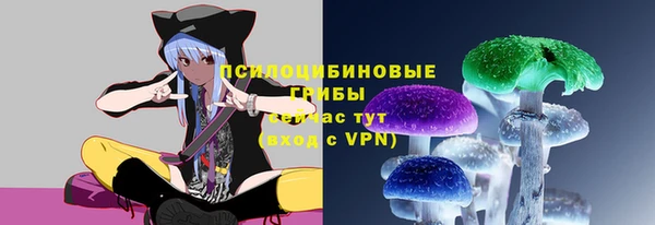 спайс Приозерск