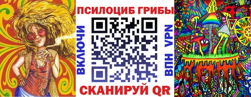 Купить Чернушка Галлюциногенные грибы GOLDEN TEACHER